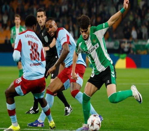 大乐透期号,专家质合分,哈伊赫多主,万博,ManBetX,万博体育官网,万博官网,万博体育下载